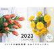 365日の植物図譜 日めくりカレンダー 2023（翔泳社カレンダー） [カレンダー]