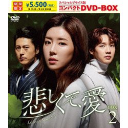 悲しくて、愛 スペシャルプライス版コンパクトDVD-BOX2 [DVD]
