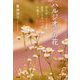 ハルジオンの花―寄り添って二十年 里子・コウヘイは今巣立つ [単行本]