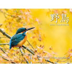 2023 野鳥カレンダー [カレンダー]