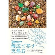 海辺で写す天然石(関西地学の旅〈13〉) [単行本]