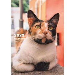 2023 岩合光昭 ねこ diary＆schedule [ムックその他]