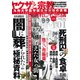 昭和の不思議１０１　２０２２年秋の男祭号(ミリオンムック<18>) [ムックその他]