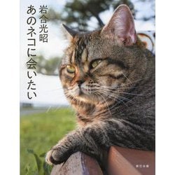 あのネコに会いたい(猫びよりの本) [単行本]