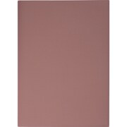 542 torinco10 レディッシュブラウン A5判 ウィークリー [2023年1月始まり]