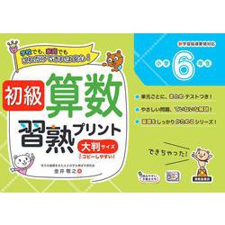 初級算数習熟プリント　小学6年生　大判サイズ [単行本]