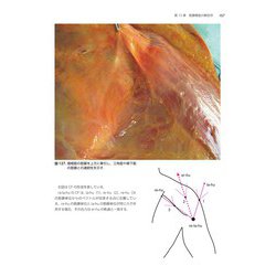 ヨドバシ.com - 筋膜マニピュレーション 理論編 原著第2版－筋骨格系 