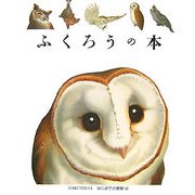 ふくろうの本（はじめての発見） [絵本]