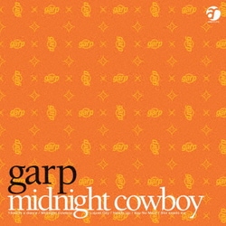 garp／midnight cowboy
