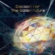 Fear,and Loathing in Las Vegas／Cocoon for the Golden Future