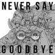 ALI／NEVER SAY GOODBYE