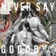 ALI／NEVER SAY GOODBYE