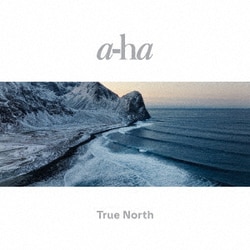 a-ha／トゥルー・ノース