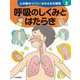 人の体のつくりとはたらき大研究〈2〉呼吸のしくみとはたらき [全集叢書]