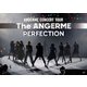 アンジュルム／アンジュルム コンサートツアー -The ANGERME- PERFECTION [DVD]