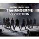 アンジュルム／アンジュルム コンサートツアー -The ANGERME- PERFECTION [Blu-ray Disc]