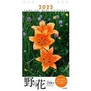 カレンダー2023 ミニカレンダー 野の花 [ムックその他]