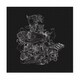 Estrael Boiso／Estrael Boiso and the The Palace of Hoi Polloi