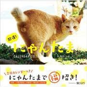 2023カレンダー 開運! にゃんたまカレンダー [カレンダー]