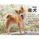 2023カレンダー 柴犬げんきな おはなしカレンダー [単行本]