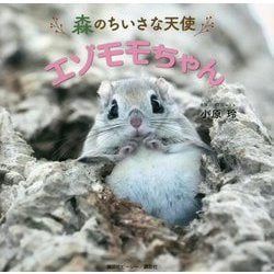 森のちいさな天使 エゾモモちゃん [単行本]