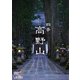 四季 高野山 (Relaxes) [DVD]