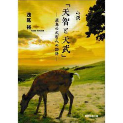 小説「天智と天武」―飛鳥の大宮人の物語 [単行本]