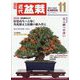 近代盆栽 2022年 11月号 [雑誌]
