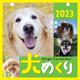 Dogs Calendar 犬めくり リフィル2023－毎日が犬びより 2023 [カレンダー]