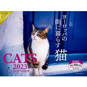 2023 ヨーロッパの街に暮らす猫 カレンダー [単行本]