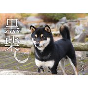 黒柴カレンダー [カレンダー]
