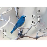 身近な野鳥カレンダー2023（壁掛け） [単行本]