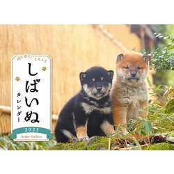 しばいぬカレンダー [カレンダー]