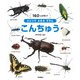 こんちゅう(ひとりでよめるずかん) [図鑑]