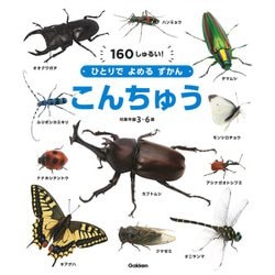 こんちゅう(ひとりでよめるずかん) [図鑑]