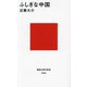 ふしぎな中国(講談社現代新書) [新書]