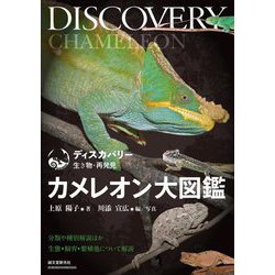 カメレオン大図鑑―分類や種別解説ほか生態・飼育・繁殖について解説(ディスカバリー生き物・再発見) [全集叢書]