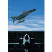 ファントム・フォーエバー ～ F-4E ファントムⅡの伝説 日本の空を護り続けた50年 ～ 全三章 第二章…飛行開発実験団と航空自衛隊の偵察型
