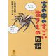 家の中のすごい生きもの図鑑(ヤマケイ文庫) [文庫]