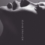 ワダツミの木