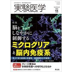 実験医学2022年11月号（実験医学） [単行本]