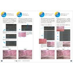 ヨドバシ.com - バズる!写真編集術 [ムックその他] 通販【全品無料配達】