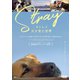 ストレイ 犬が見た世界 [DVD]