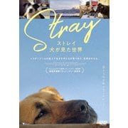 ストレイ 犬が見た世界