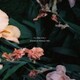 SHUNICHI YANAGI TRIO／Y's TRIO VOL.1