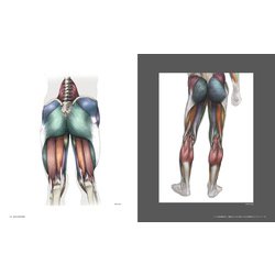ヨドバシ.com - レイの美術解剖学－躍動する人体を描くための実践的な