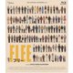 FLEE フリー 豪華版 [Blu-ray Disc]