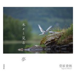 木々と見る夢 [単行本]