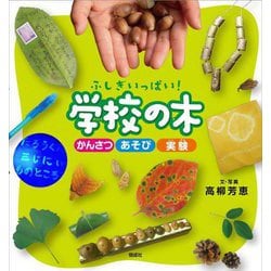ふしぎいっぱい!学校の木―かんさつ、あそび、実験 [単行本]