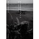 はじまりのバタイユ―贈与・共同体・アナキズム [単行本]